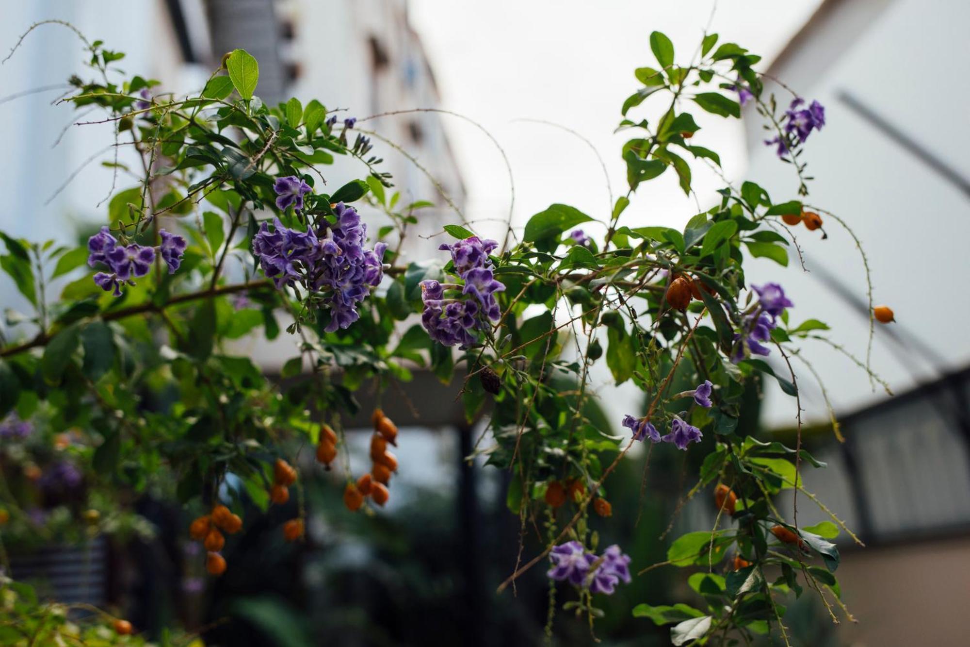 Atmosfere Puniche B&B ปาแลร์โม ห้อง รูปภาพ